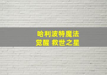 哈利波特魔法觉醒 救世之星